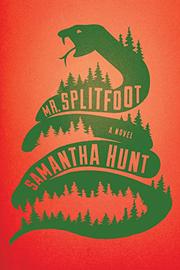 Mr. Splitfoot Samantha Hunt