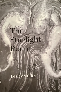 Cover of the The Starlight Room by Lesley Valdes