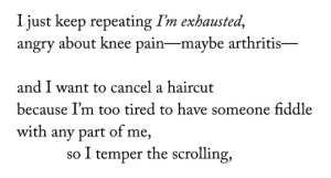I just keep repeating I'm exhausted, angry about knee pain--maybe arthritis-- and I want to cancel a haircut because I'm too tired to have someone fiddle with any part of me, so I temper the scrolling